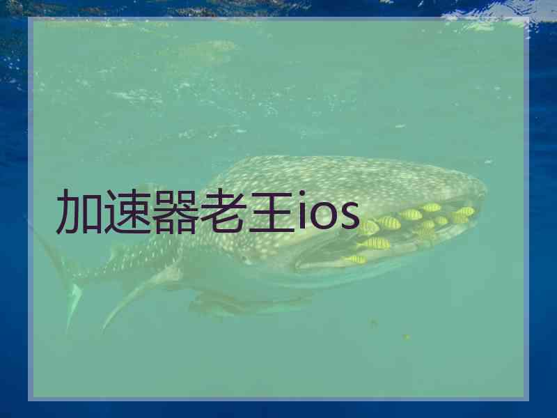 加速器老王ios