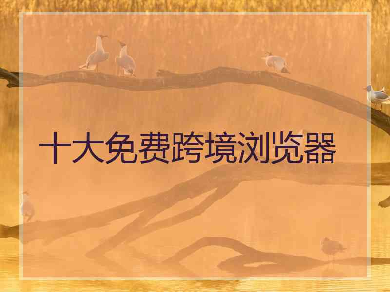 十大免费跨境浏览器