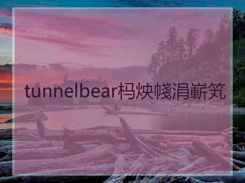 tunnelbear杩炴帴涓嶄笂
