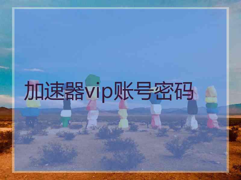 加速器vip账号密码