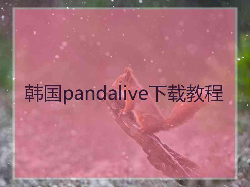 韩国pandalive下载教程