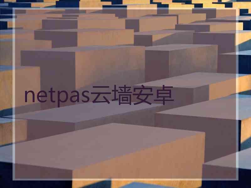 netpas云墙安卓