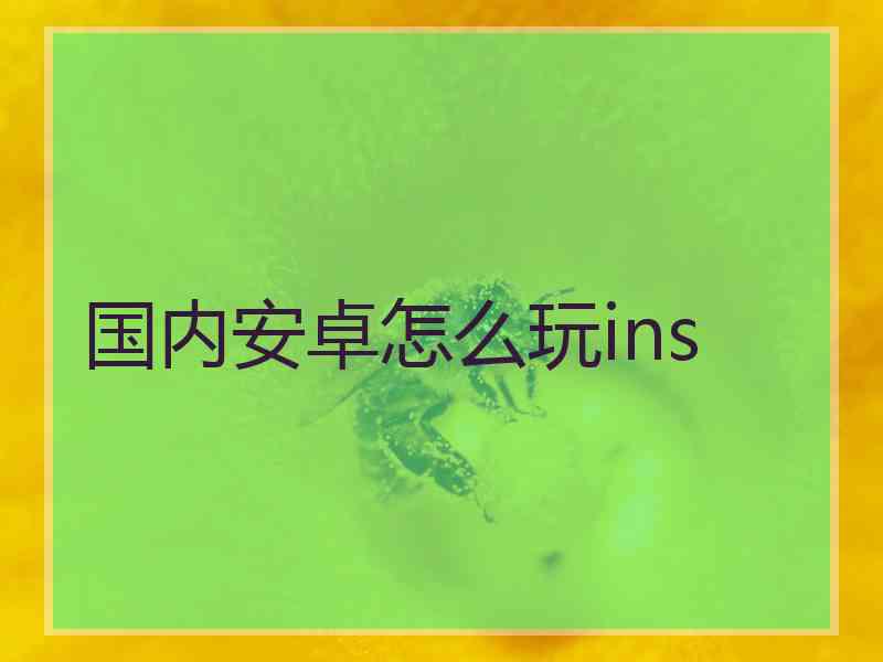 国内安卓怎么玩ins