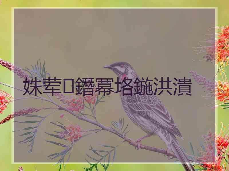 姝荤鐕冪垎鍦洪潰