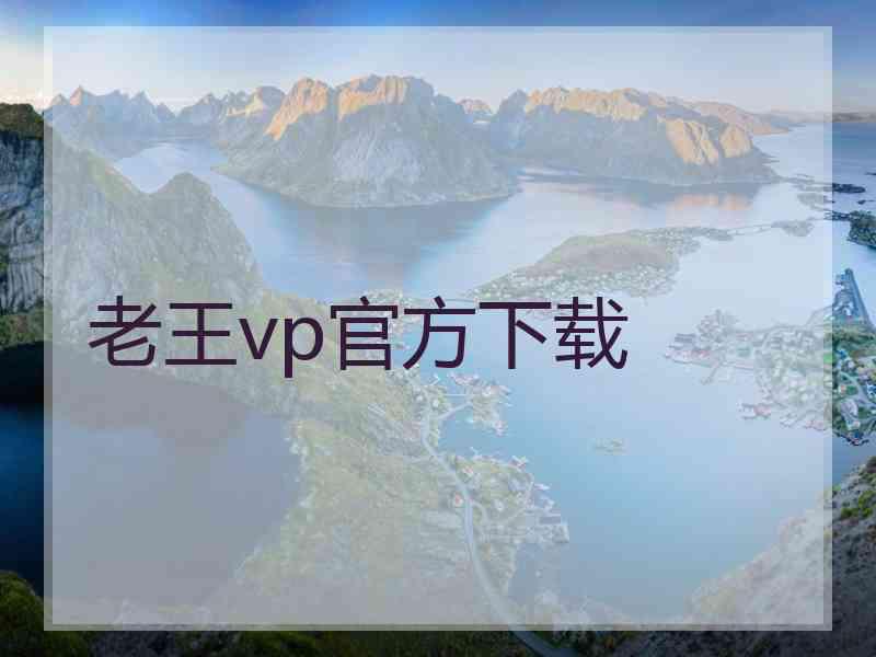 老王vp官方下载