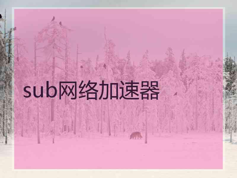 sub网络加速器