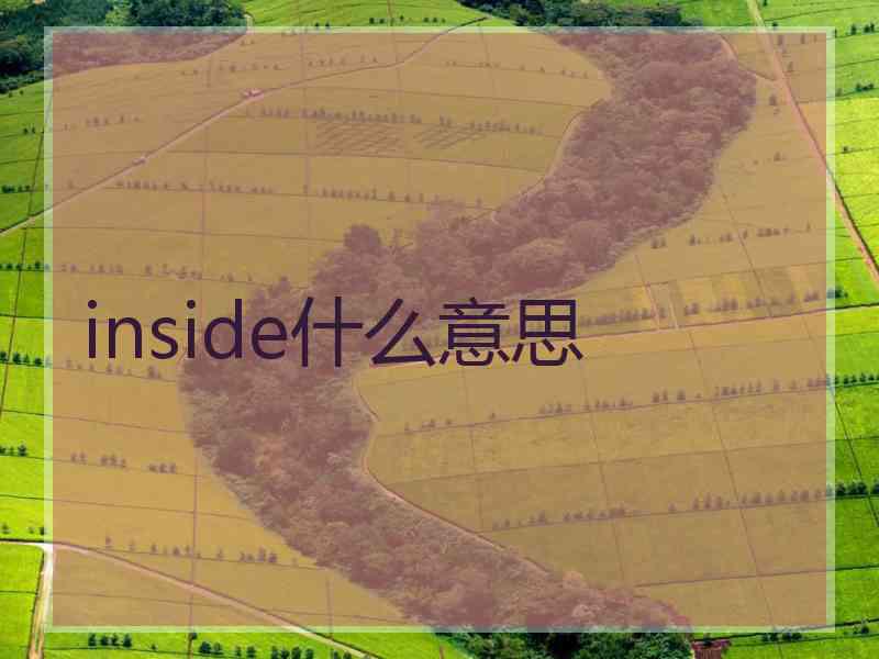 inside什么意思