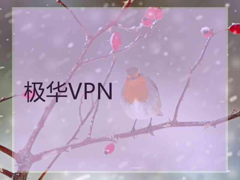 极华VPN