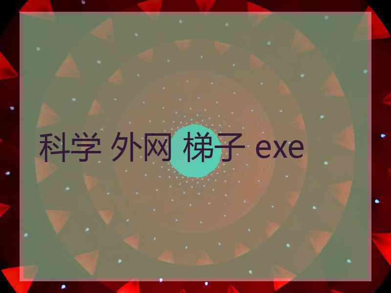 科学 外网 梯子 exe