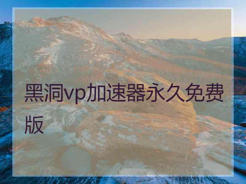 黑洞vp加速器永久免费版