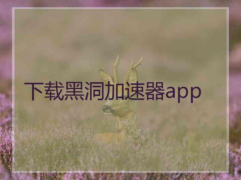 下载黑洞加速器app