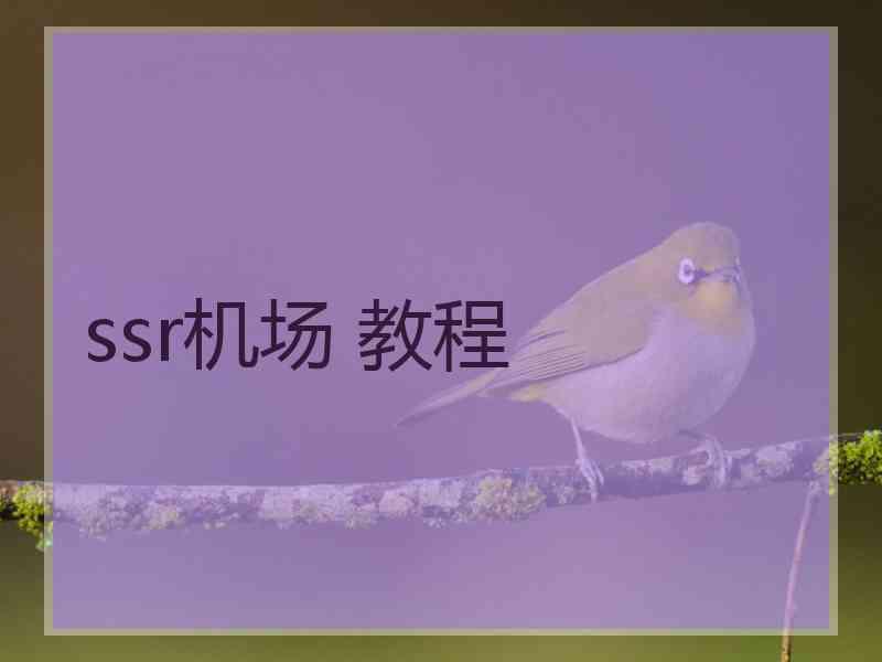 ssr机场 教程