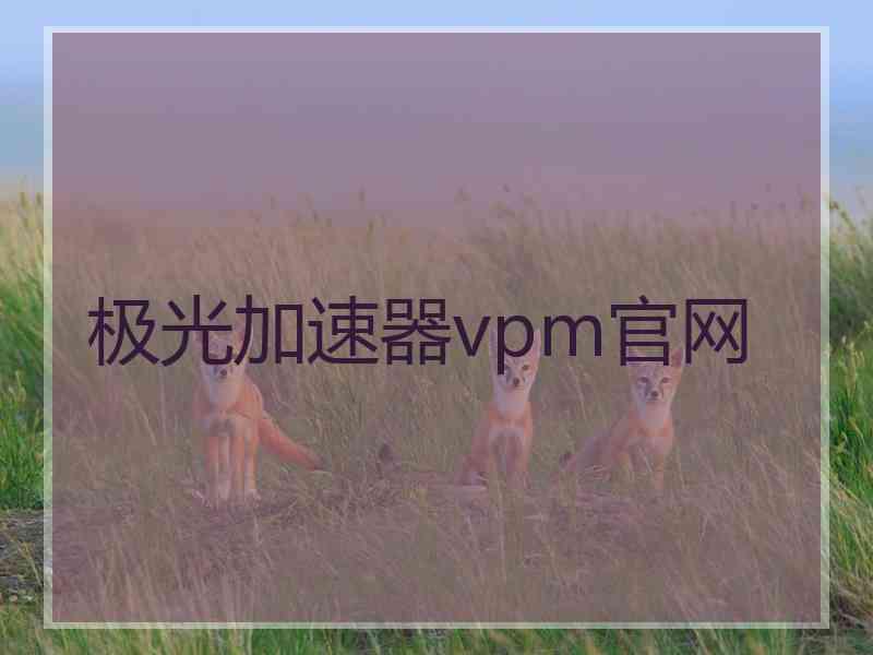 极光加速器vpm官网