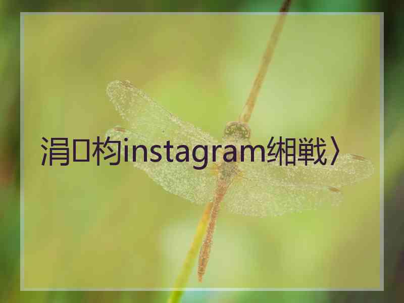 涓枃instagram缃戦〉