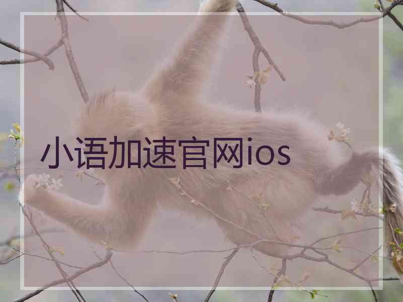 小语加速官网ios