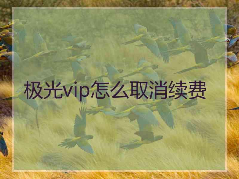 极光vip怎么取消续费