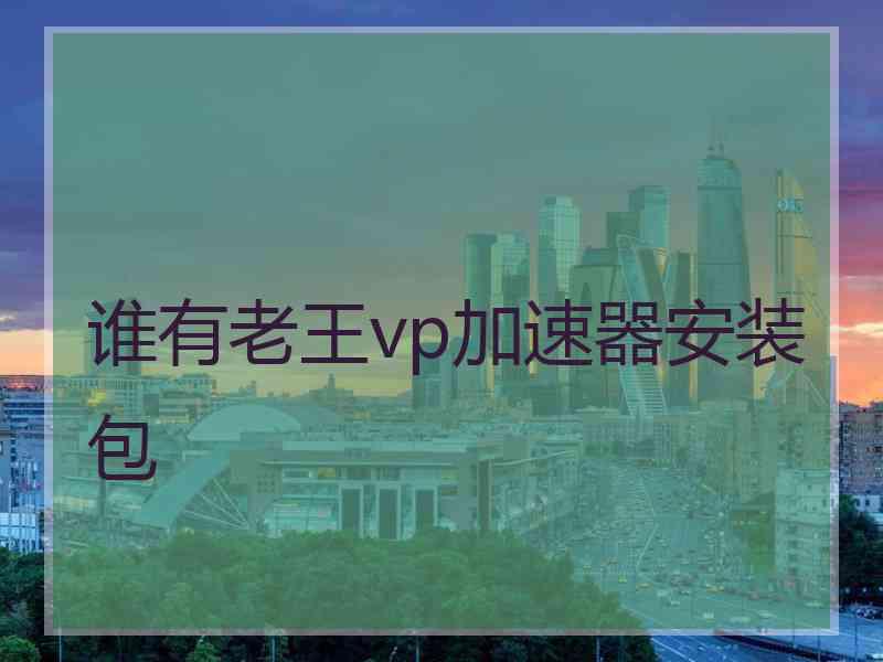 谁有老王vp加速器安装包