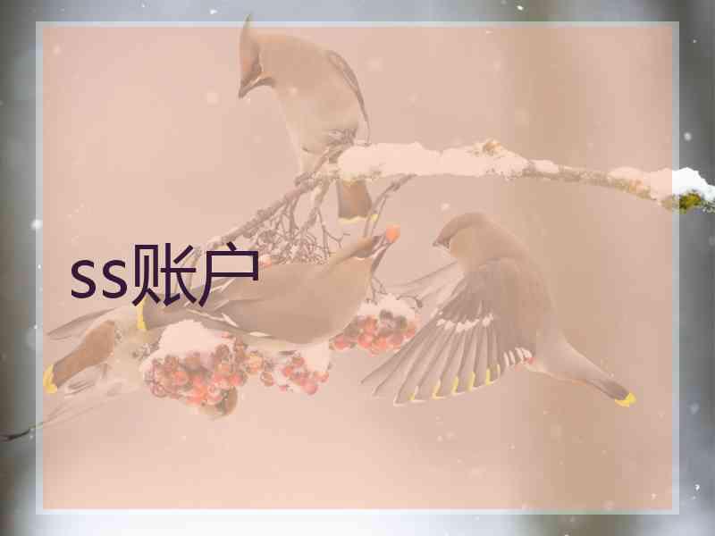 ss账户