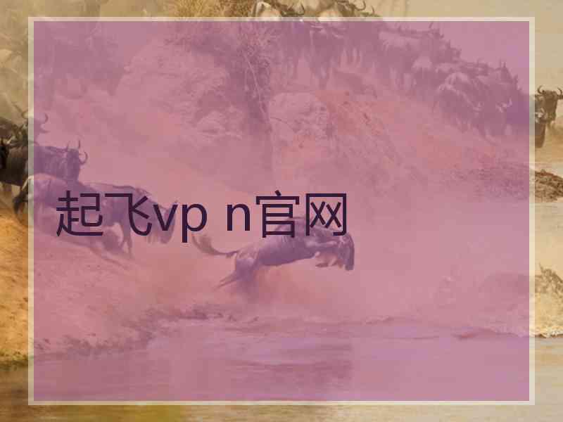 起飞vp n官网