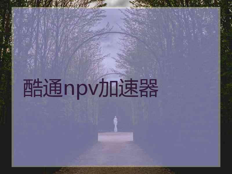 酷通npv加速器