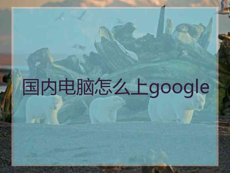 国内电脑怎么上google