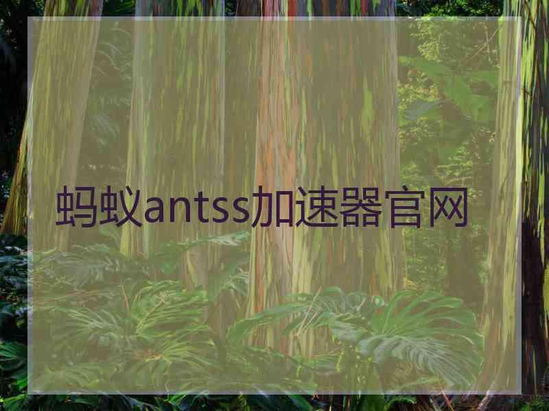 蚂蚁antss加速器官网