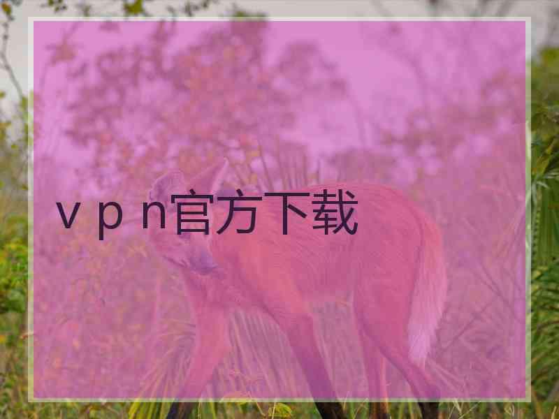 v p n官方下载