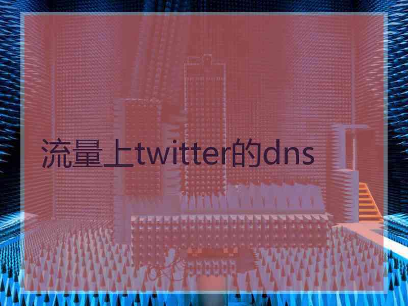 流量上twitter的dns