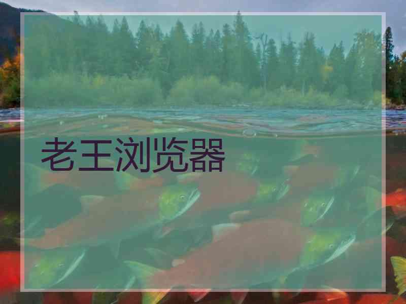 老王浏览器