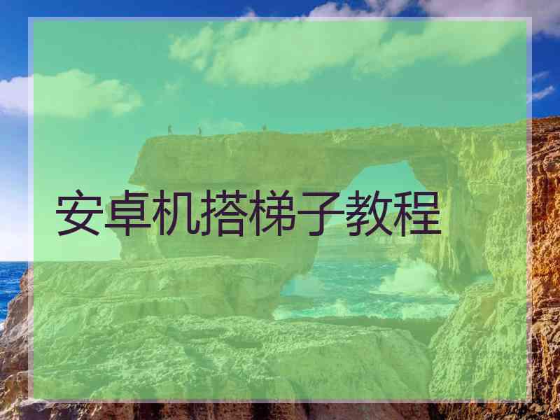 安卓机搭梯子教程