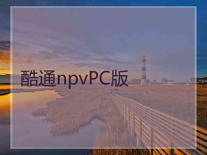 酷通npvPC版