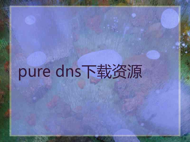 pure dns下载资源