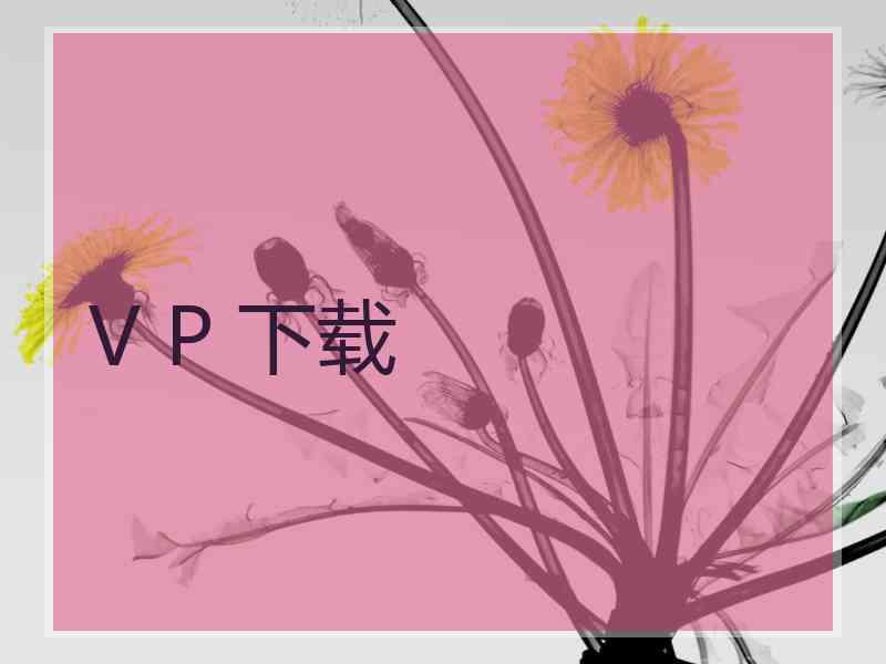 V P 下载