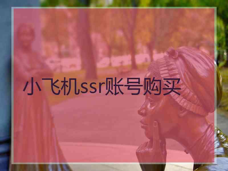 小飞机ssr账号购买