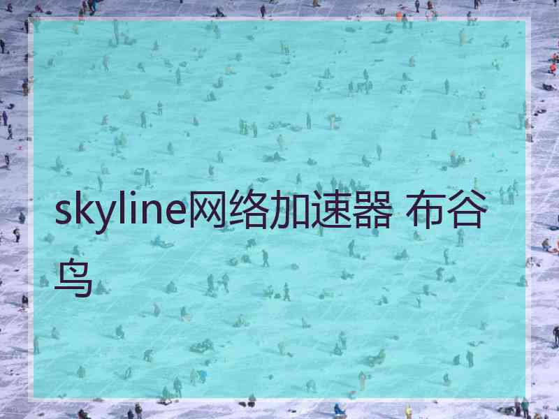 skyline网络加速器 布谷鸟