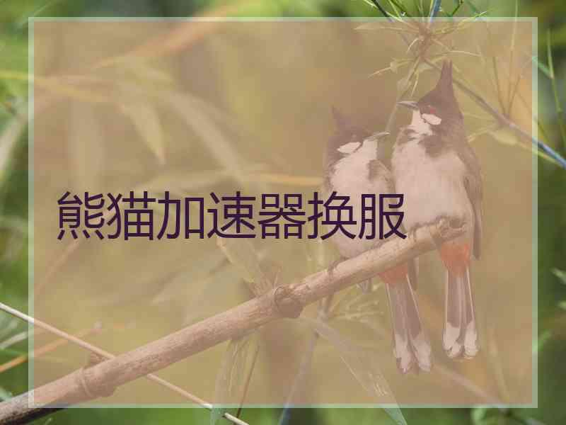 熊猫加速器换服