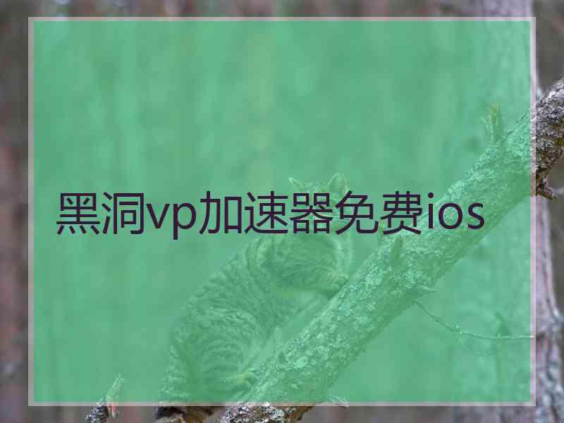 黑洞vp加速器免费ios