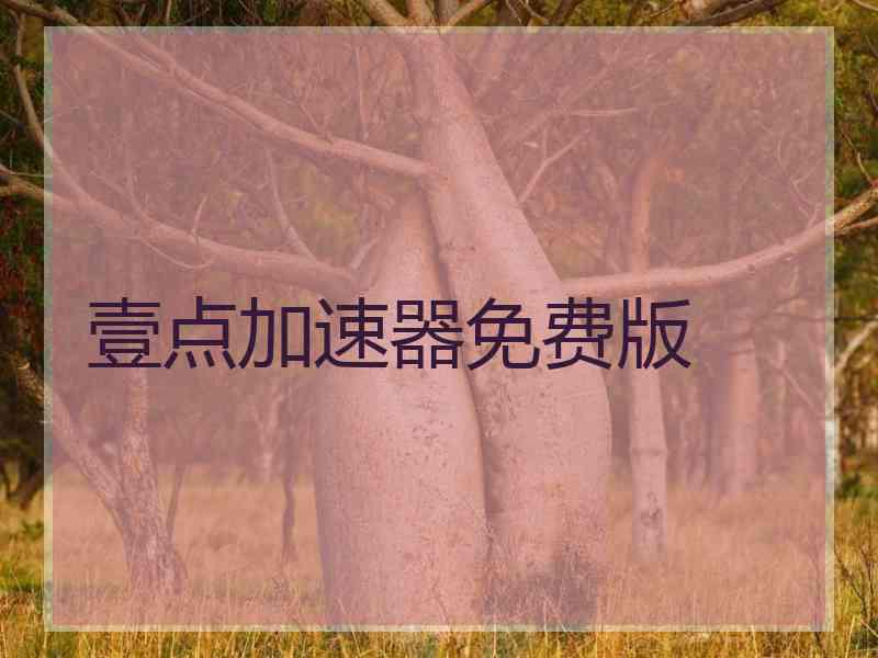 壹点加速器免费版