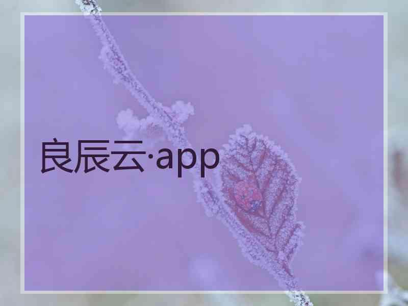 良辰云·app