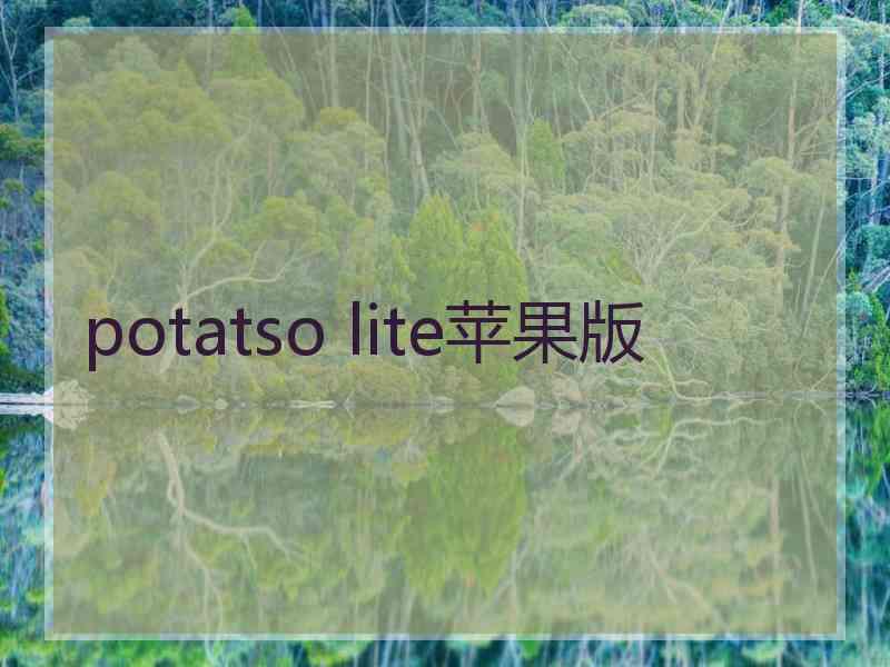 potatso lite苹果版