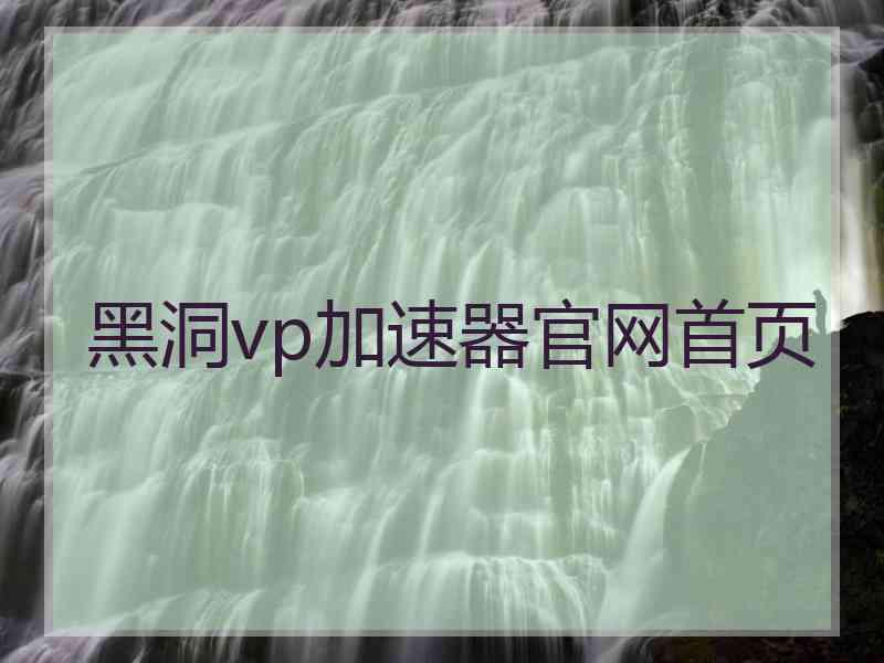 黑洞vp加速器官网首页