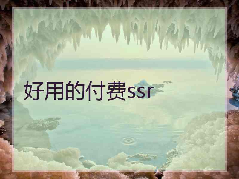 好用的付费ssr