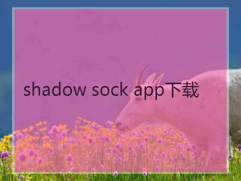 shadow sock app下载