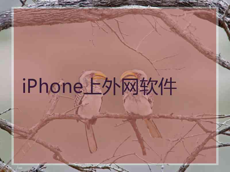 iPhone上外网软件