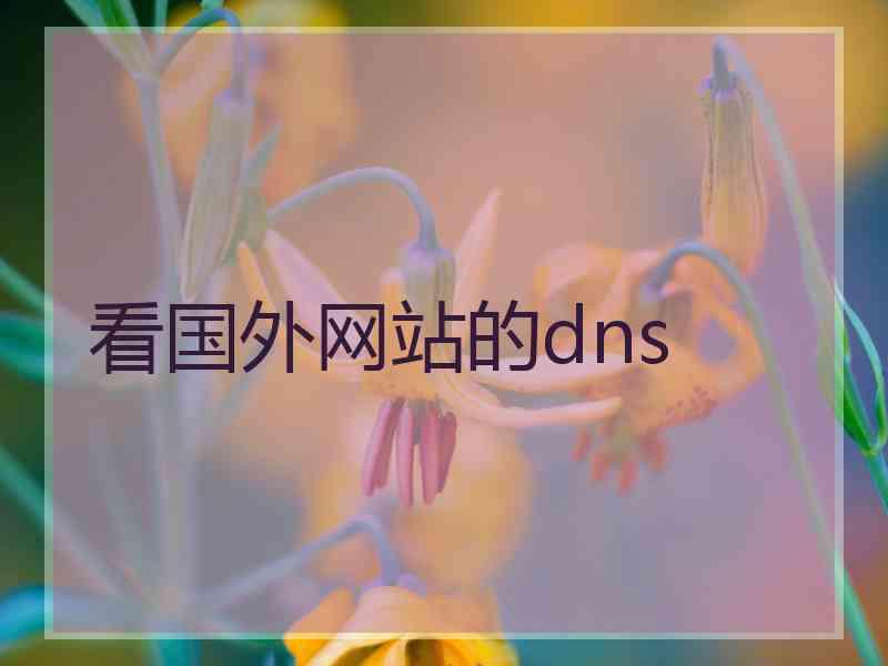 看国外网站的dns