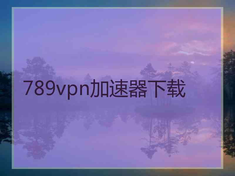 789vpn加速器下载