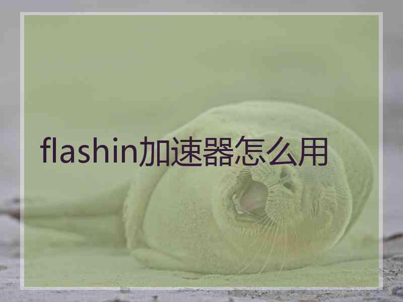 flashin加速器怎么用