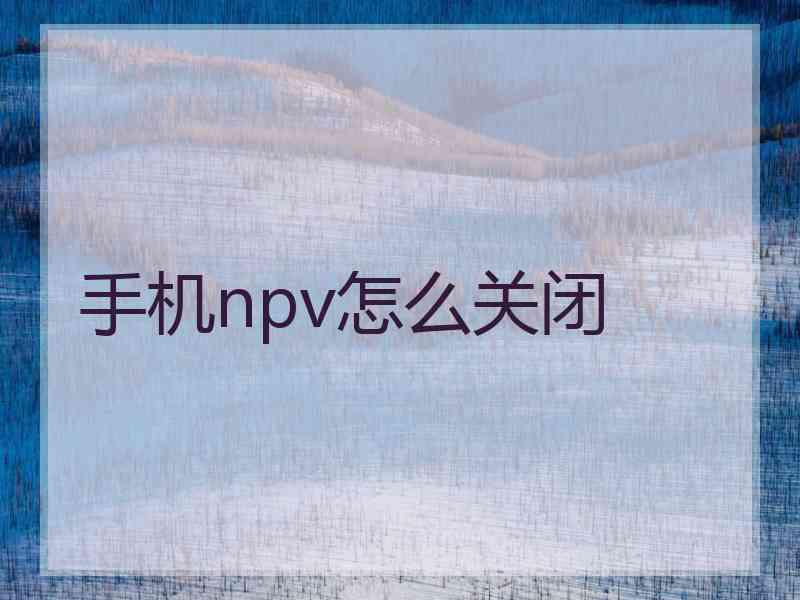 手机npv怎么关闭