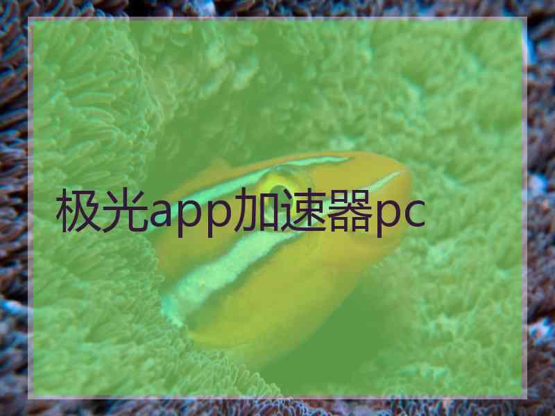 极光app加速器pc