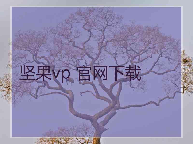 坚果vp 官网下载